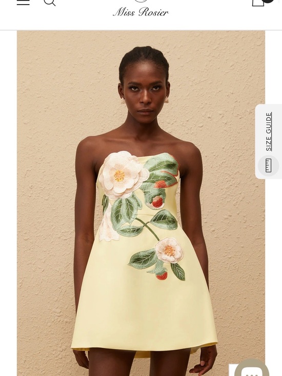 Miss Rosier Dresses & Skirts - Yellow Floral Embroidered Mini Dress